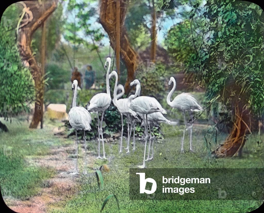 Visiting a bird's department at a zoological garden, 1920s