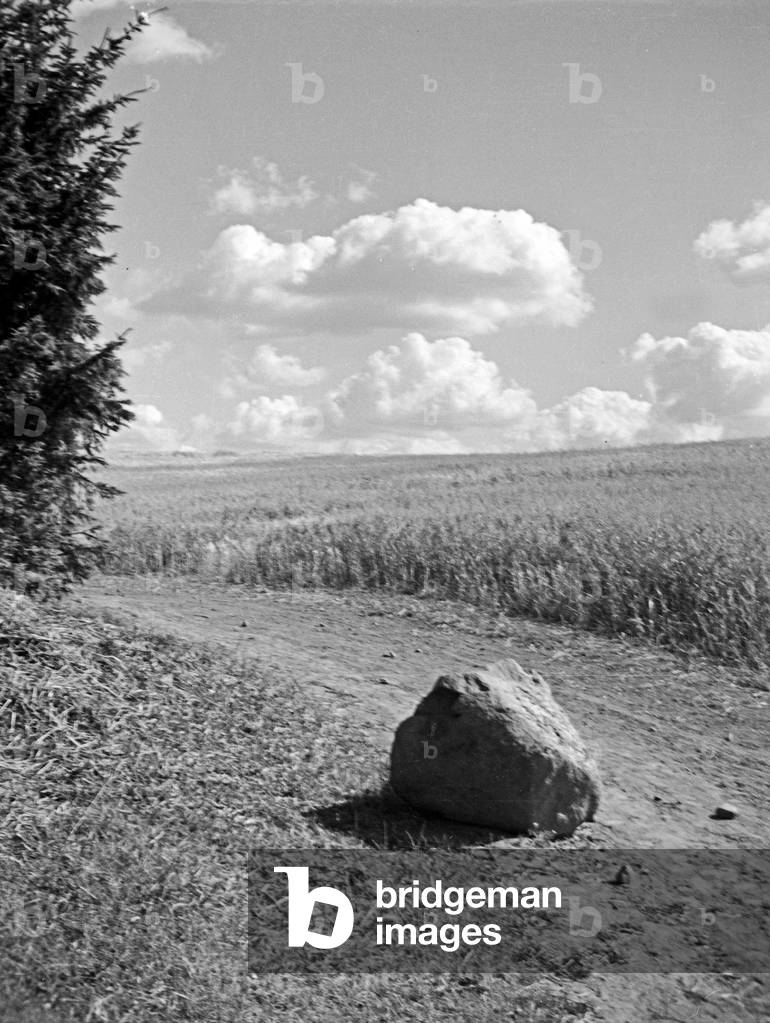 A country lane and a cornfield, East Prussia, 1930s (b/w photo)