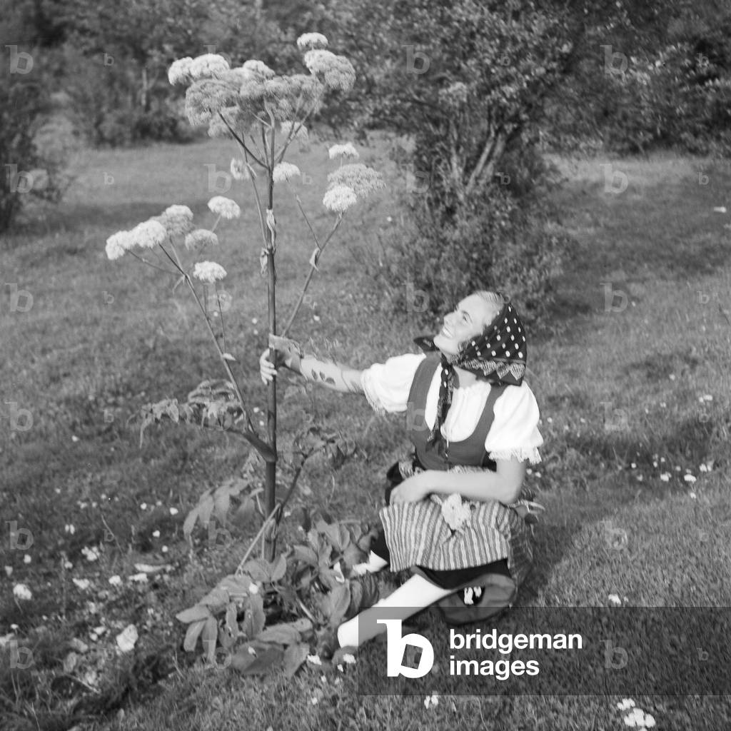 A young woman climbing on a mountain in the Wachau area in Austria, Germany 1930s (b/w photo)
