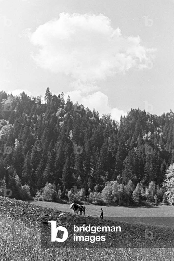 Idyllic panoramic view of the Black Forest, Germany 1930s (b/w photo)