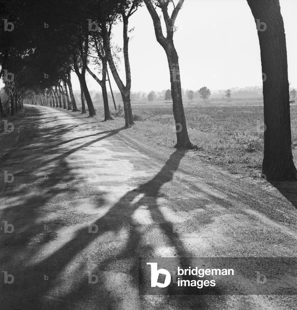 Summer in the countryside, Germany 1930s (b/w photo)
