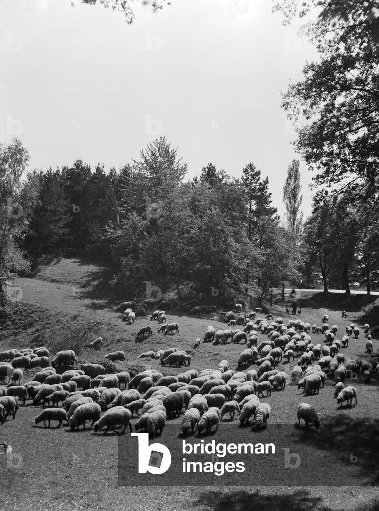 On thr road through the regions of Germany 1930s (b/w photo)
