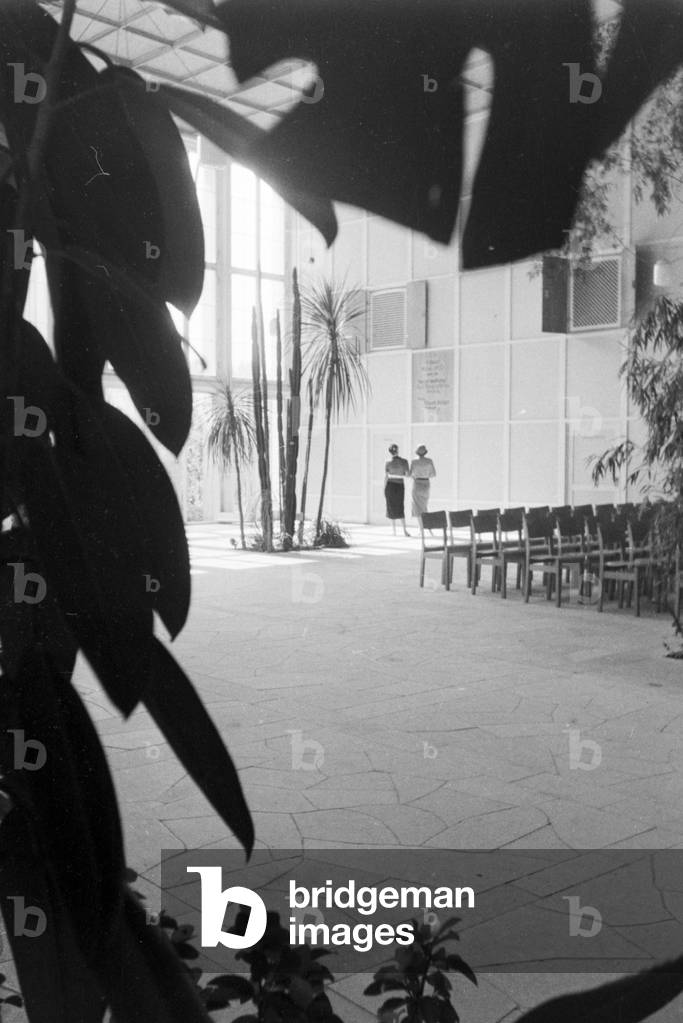 A trip to Bad Mergentheim, Germany 1930s (b/w photo)