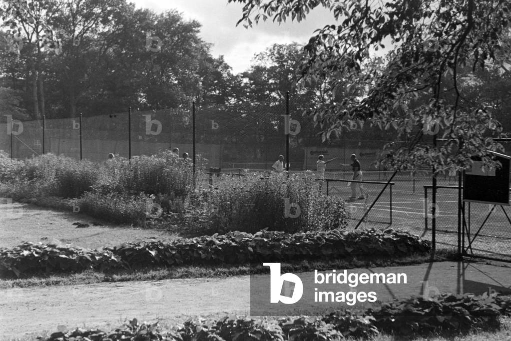 Small gardens and orchards, Germany 1930s (b/w photo)