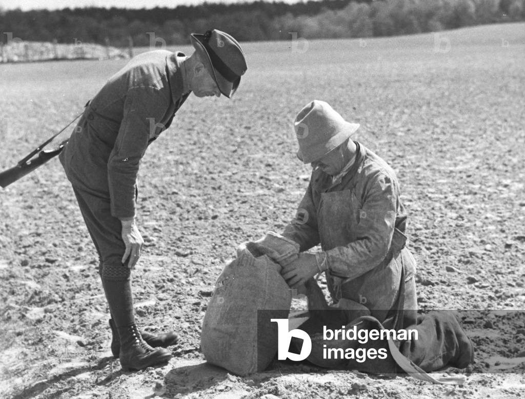 “The Forest of the Jägerhof” (b/w photo)