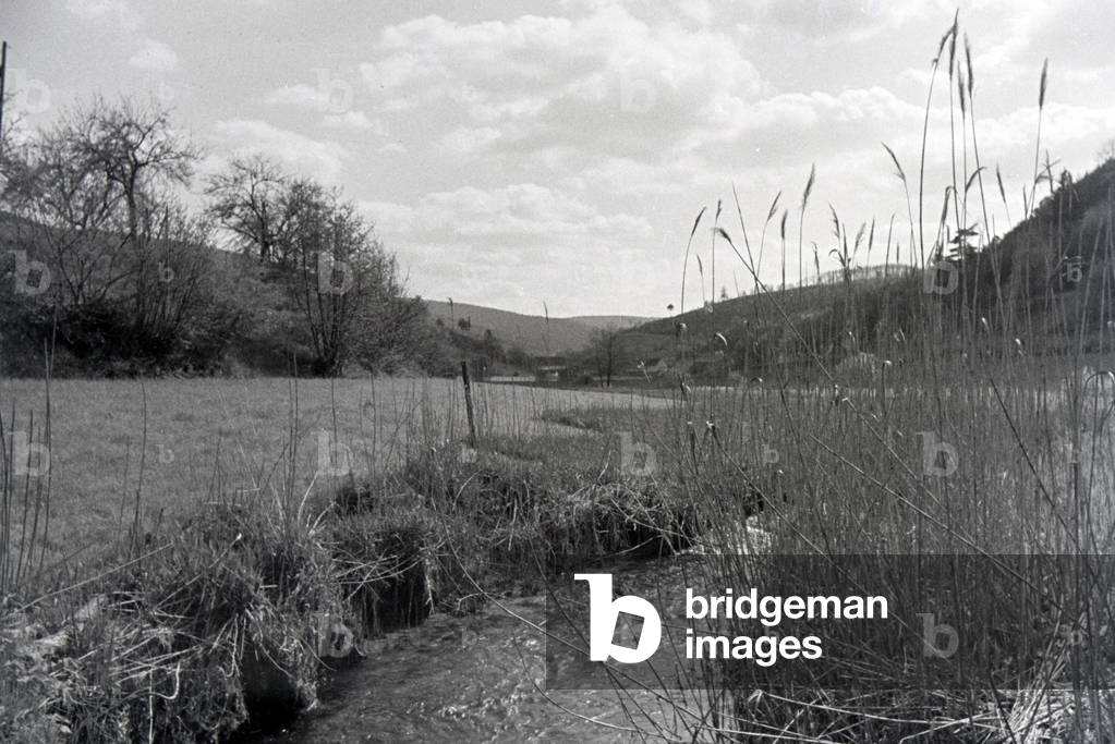 An excursion to the Forest of Odes, Germany 1930s (b/w photo)