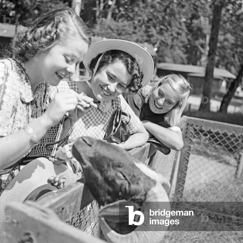 Three young women at the goat compound at Wilhelma zoological gardens at Stuttgart, Germany 1930s (b/w photo)