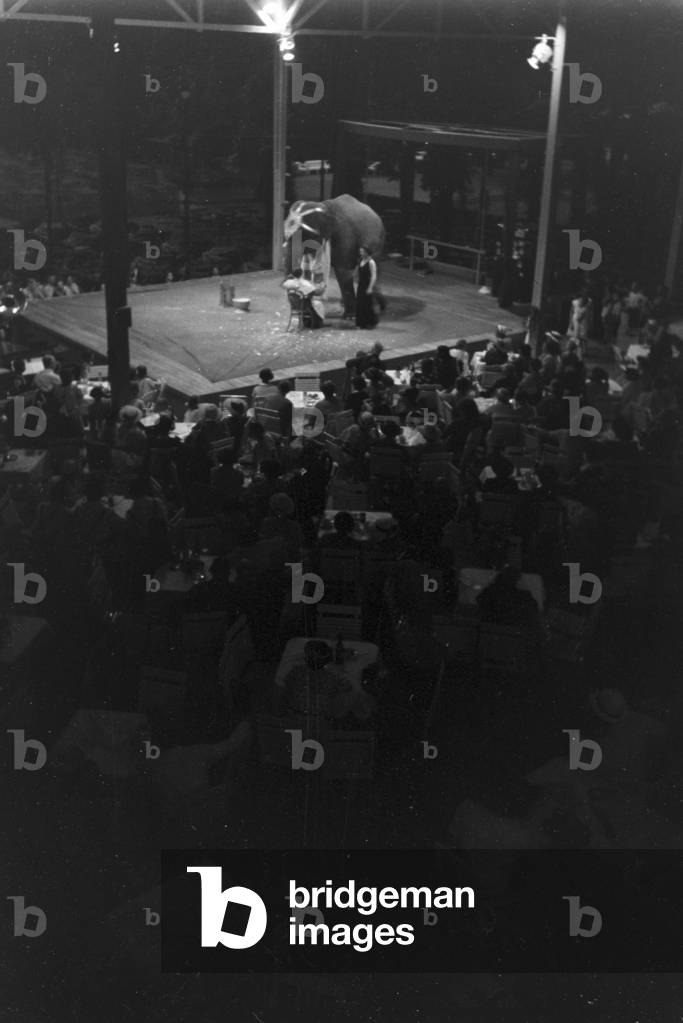 Camping near Marbach at Naab, Germany 1930 (b/w photo)