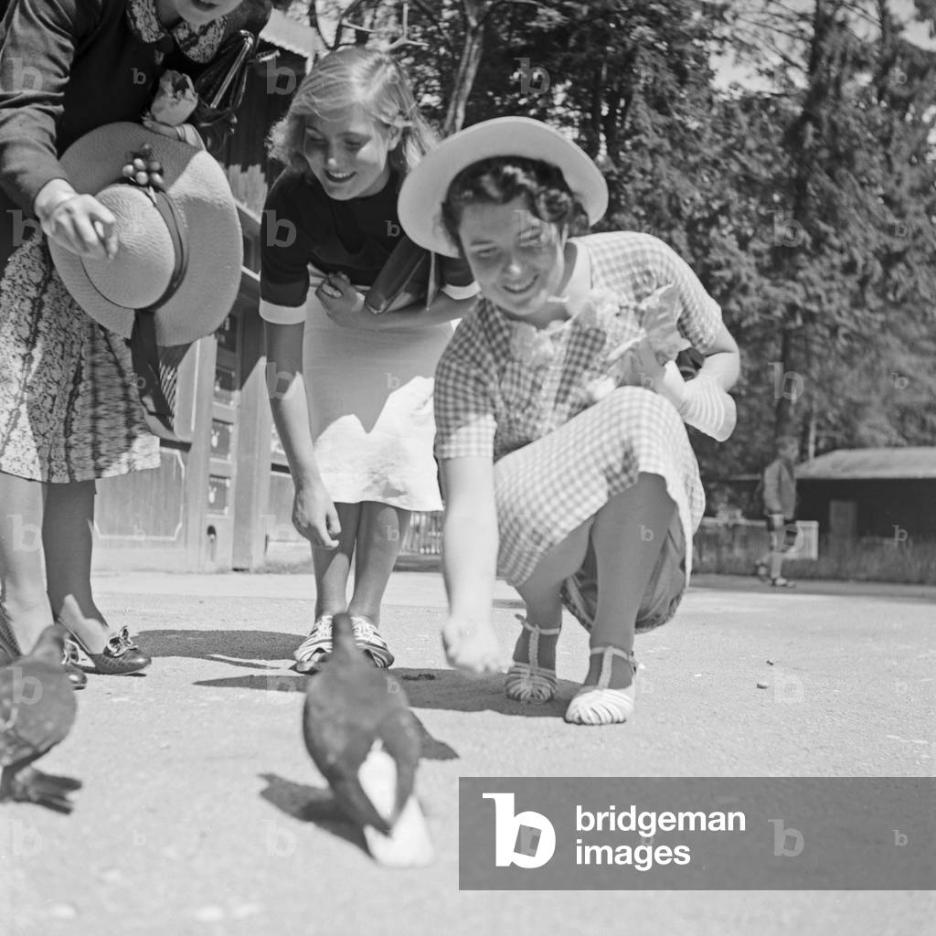 Three young women feeding pigeons at Wilhelma zoological gardens at Stuttgart, Germany 1930s (b/w photo)