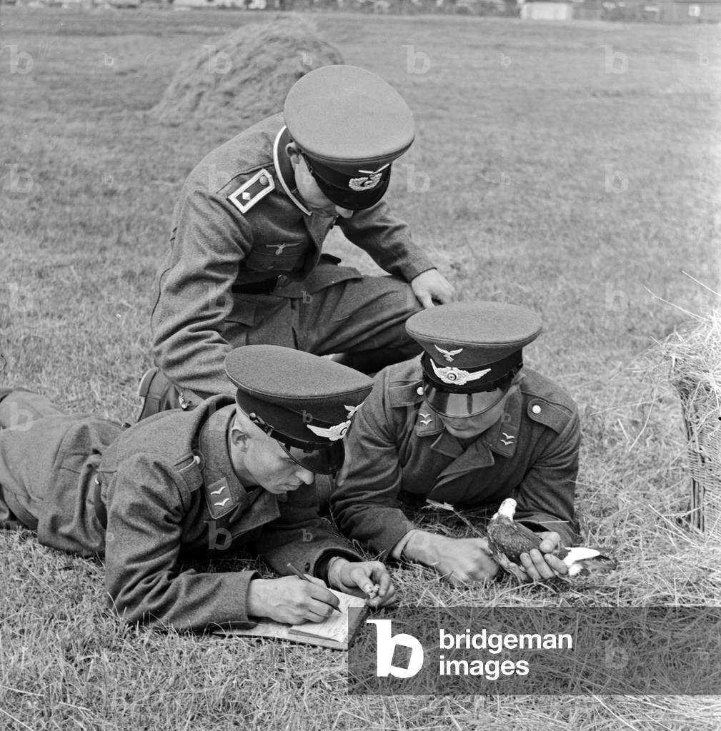 Two recruits of the German Luftwaffe with their drill seargant and a carrier pigeon, Berlin Spandau 1930s (b/w photo)