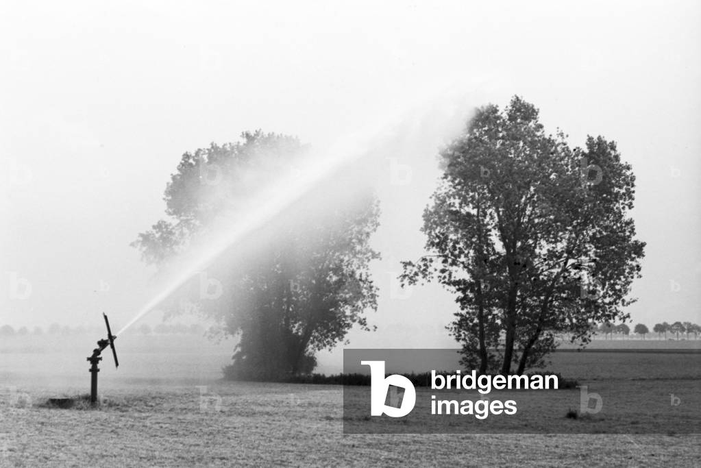 A sprinkler system in its agricultural use at a potato field, Germany 1930s (b/w photo)