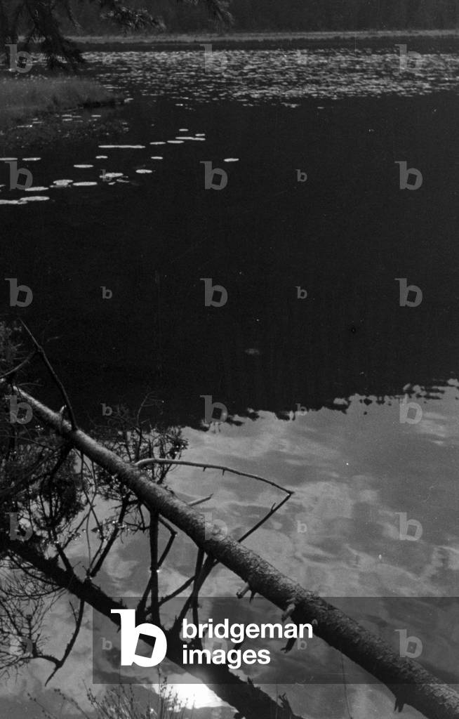 Recovery in the Bohemian Forest, Germany 1930s (b/w photo)