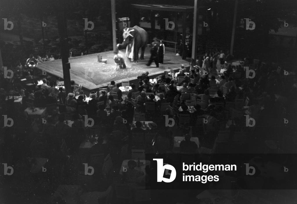 A visit to the circus near Marbach, Germany 1930 (b/w photo)