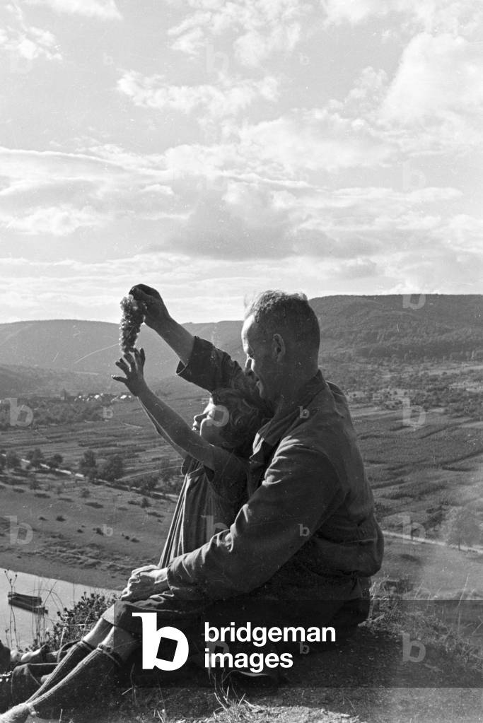 Winegrower at work in hnis vineyard near Beilstein, Germany 1930s (b/w photo)
