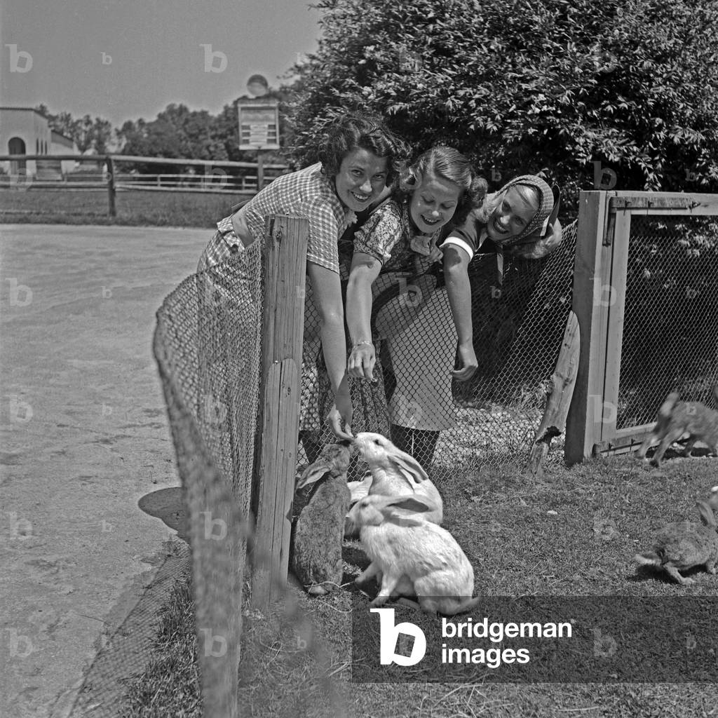 Three young women arrived at the rabbits and hares petting zoo, Germany 1930s (b/w photo)