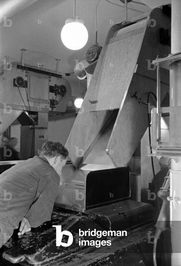 A staff member at the production of cigarettes at the Kyriazi cigarette factory at Hamburg, Germany 1930s (b/w photo)