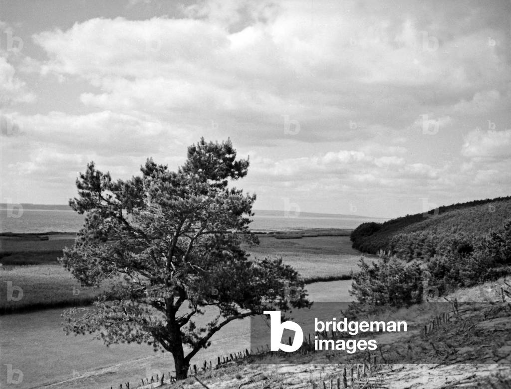 Landscape of the Frische Nehrung bay bar with view to Vistula Lagoon and onshore coast of East Prussia, 1930s (b/w photo)