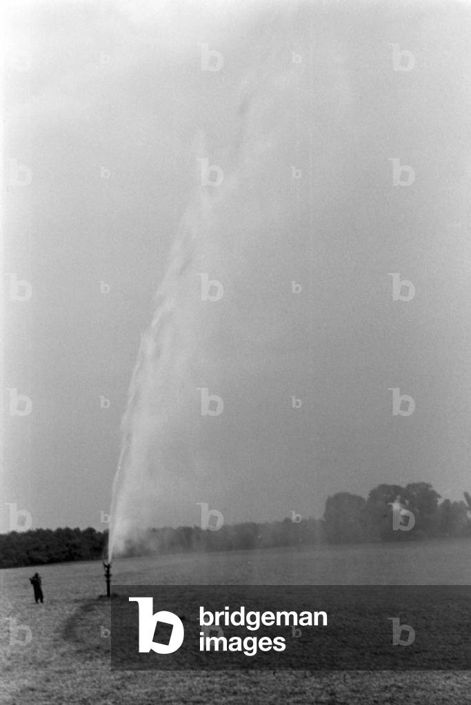 A sprinkler system in its agricultural use at a potato field, Germany 1930s (b/w photo)