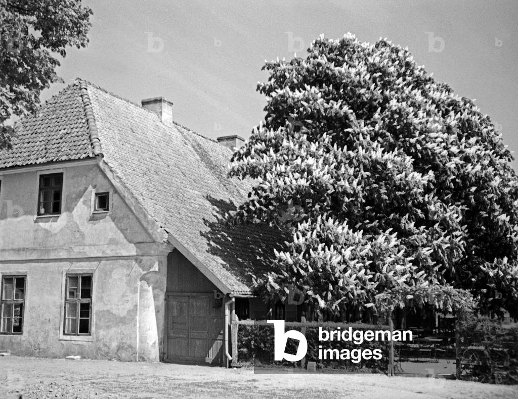 Village pub of Petersort near Vistula Lagoon, East Prussia, 1930s (b/w photo)