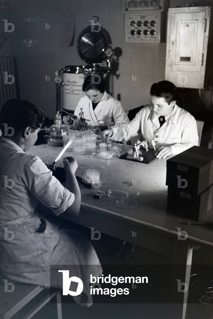 Lab assistants examining collected bee poison with the help of medical equipment in a lab, germany 1930s (b/w photo)