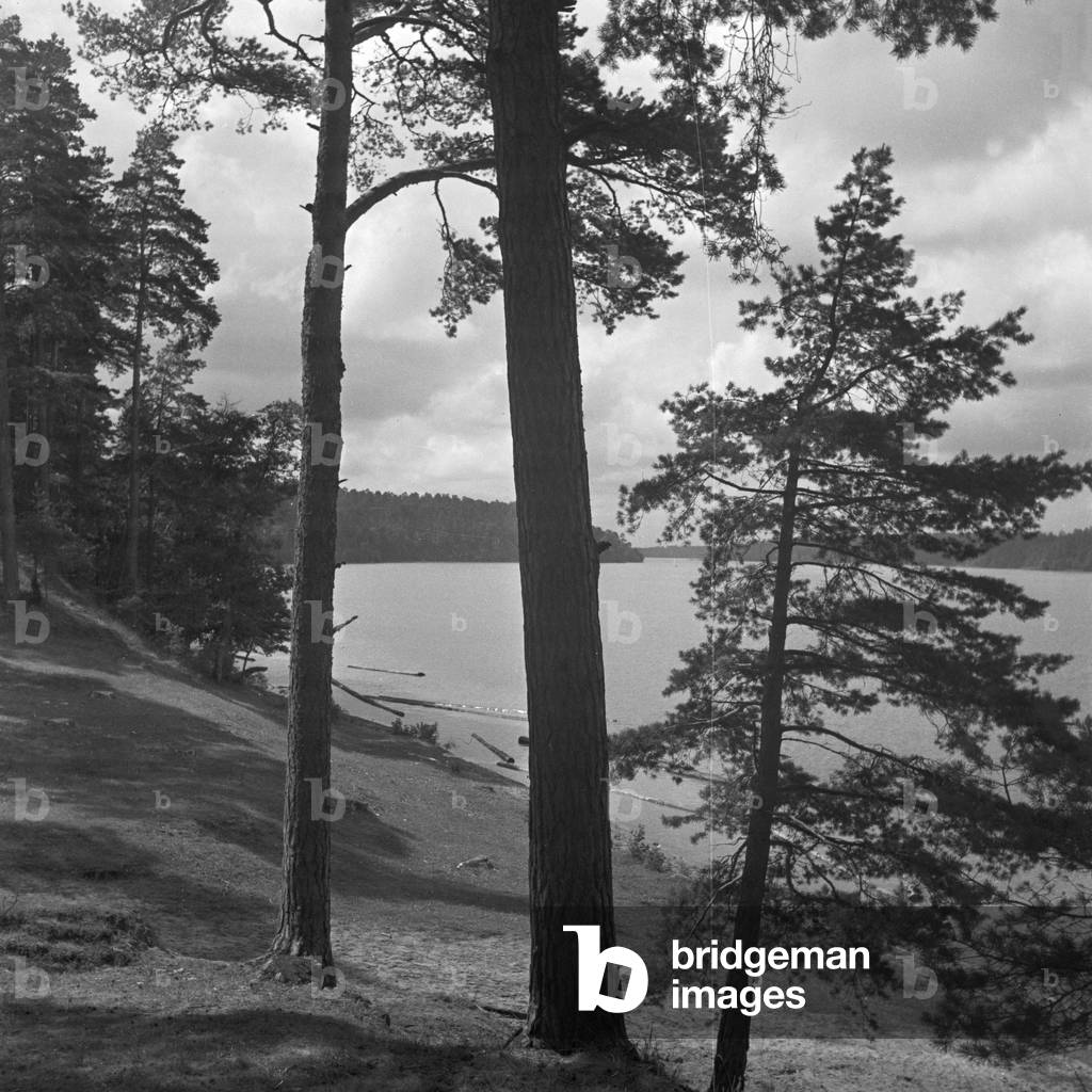 At Wierba in Masuria in East Prussia, Germany 1930s (b/w photo)