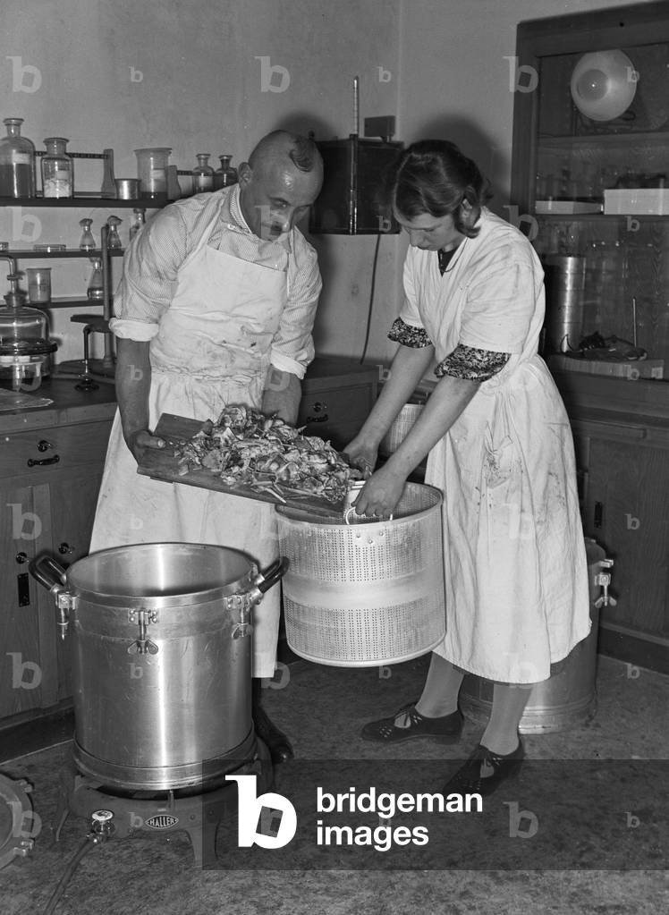 Staff members of research institute for meat processing, Germany 1930s (b/w photo)