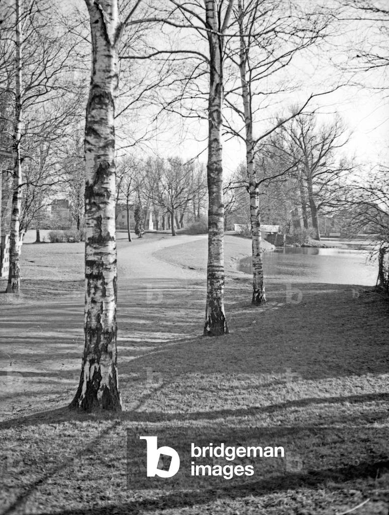 Public park with street at Oberteich lake at Koenigsberg, East Prussia 1930s (b/w photo)