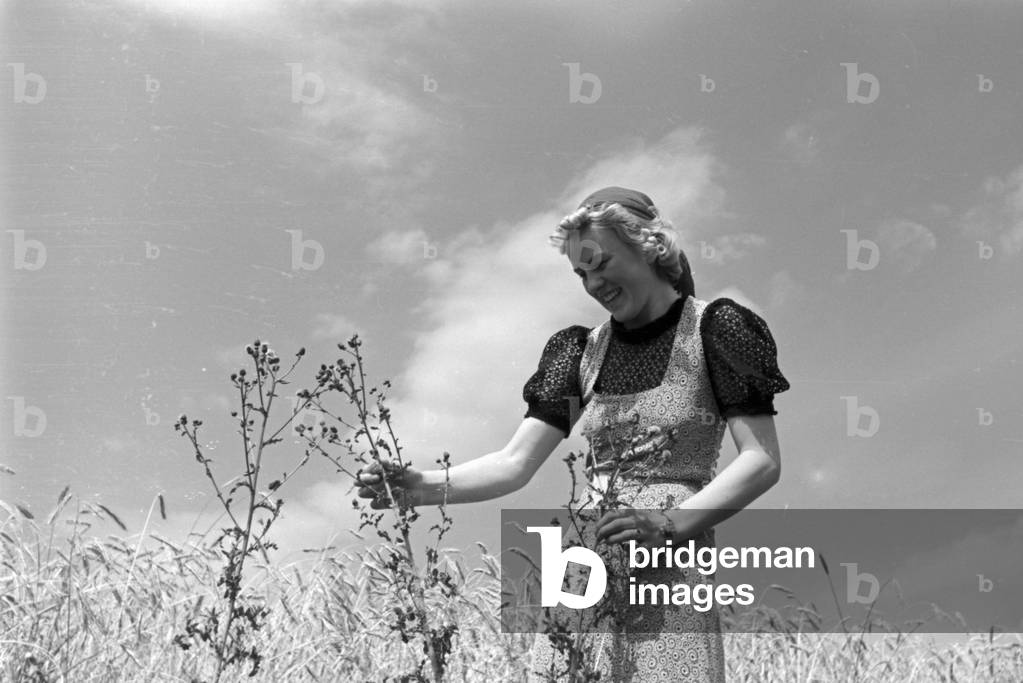 Vacations on Westerland, Germany 1930s (b/w photo)
