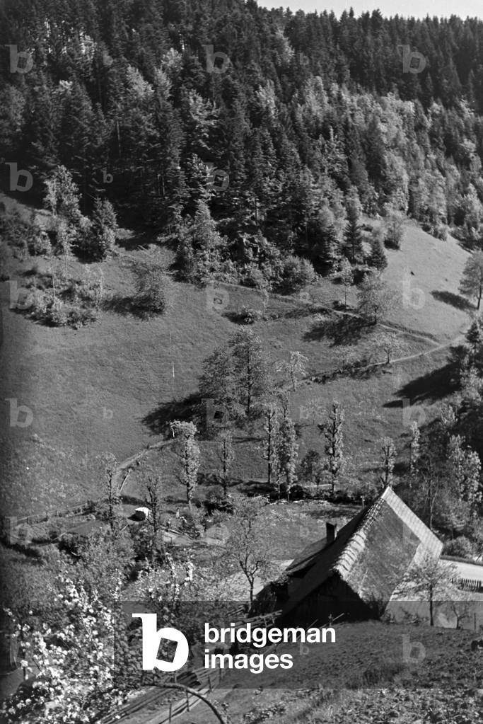 Idyllic panoramic view of the Black Forest, Germany 1930s (b/w photo)