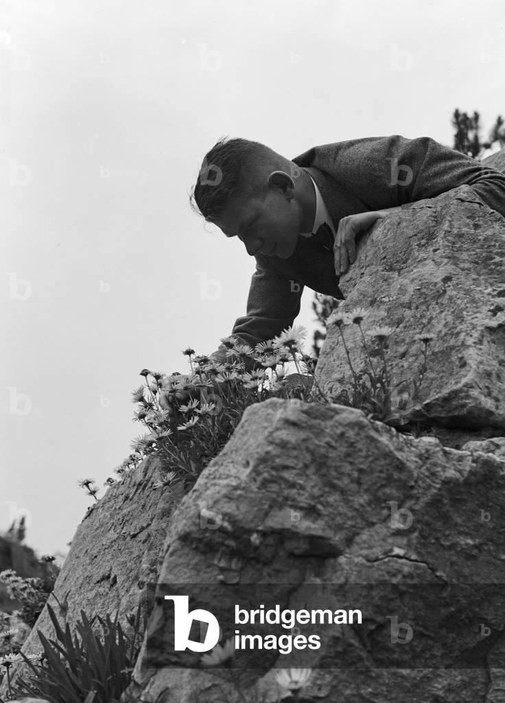 Staff members of a botanical institute in search of plants, after that the plants are processed statistically, Germany 1930s (b/w photo)