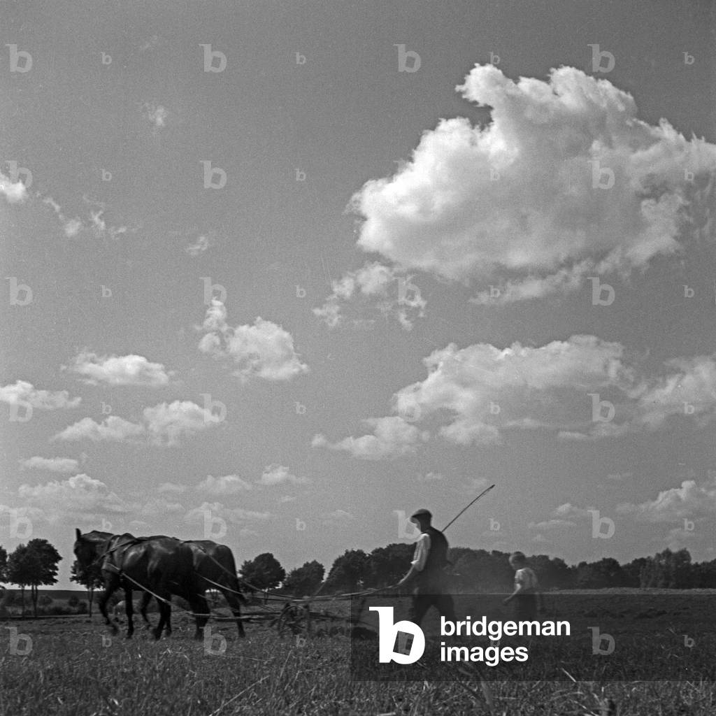 A farmer with his son ploughing his field near Hohenstein near East Prussia, Germany 1930s (b/w photo)