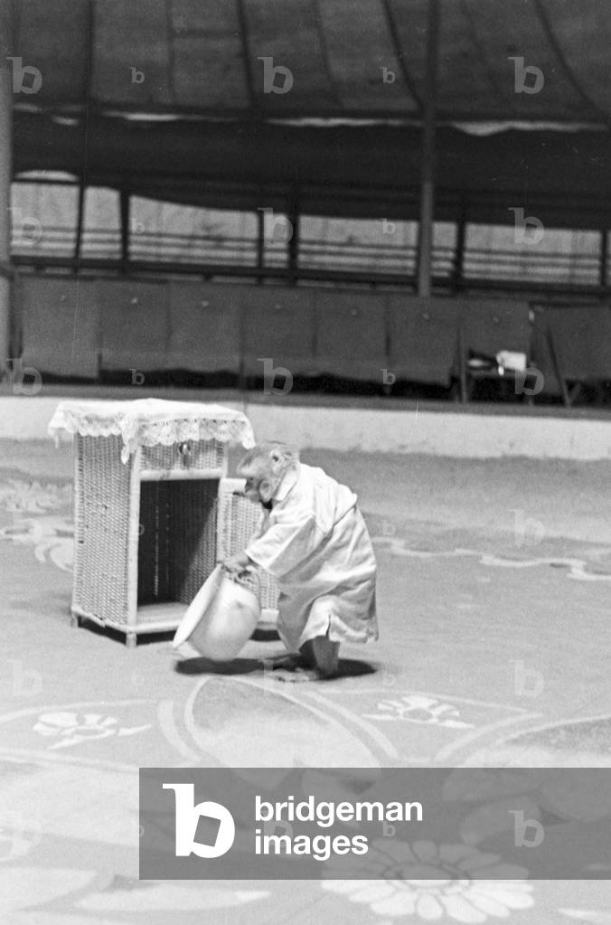 A monkey in the circus ring in a circus in Karlsbad, Germany 1930s (b/w photo)