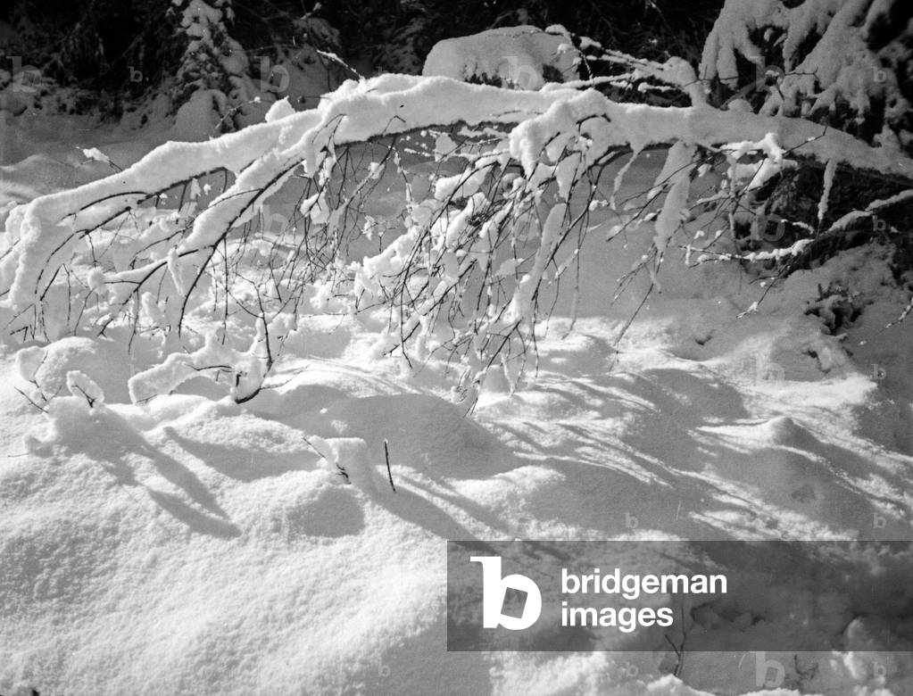 Wintertime landscape at East Prussia, 1930s (b/w photo)