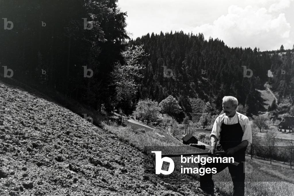A trip into the Black Forest, Germany 1930s (b/w photo)