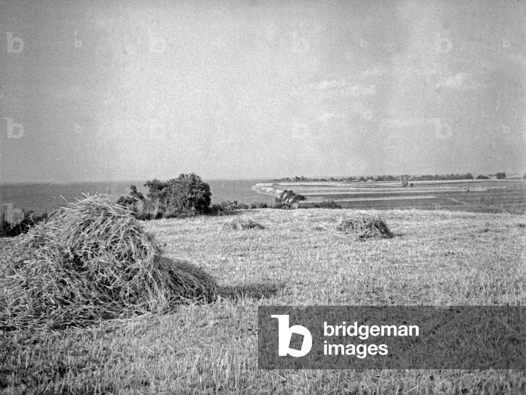 Landscape near Kahlholz at Vistula Lagoon, East Prussia, 1930s (b/w photo)