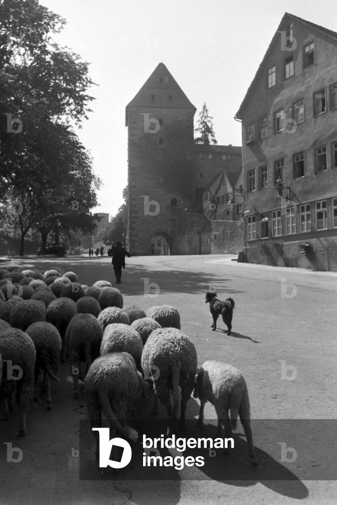 A trip to Stuttgart, Germany 1930s (b/w photo)
