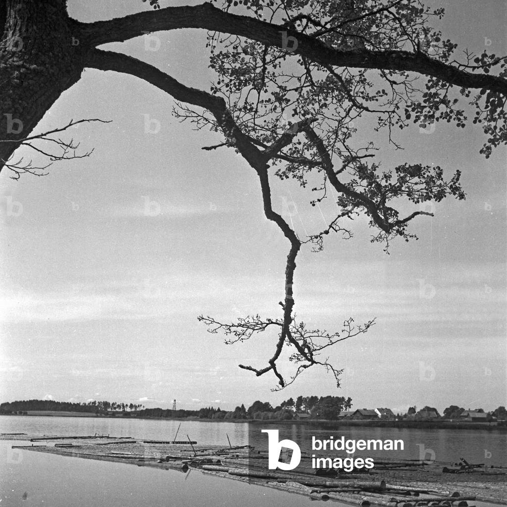 Landscape at Masuria in East Prussia, Germany 1930s (b/w photo)