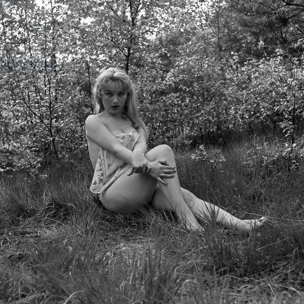 Xayrli tong kofe gullari rasmlar Bumlarning jinsiy aloqa videolari