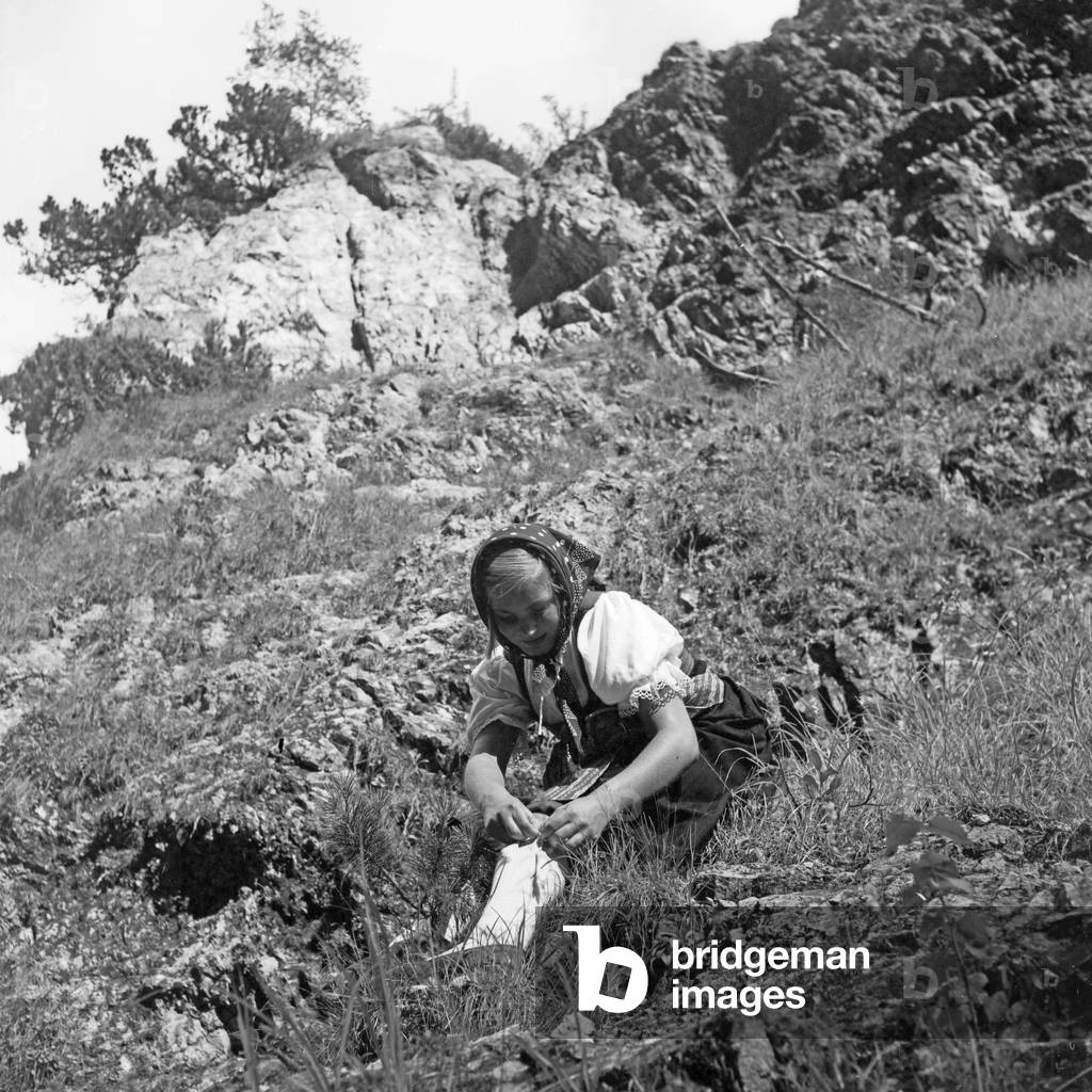 A young woman climbing on a mountain in the Wachau area in Austria, Germany 1930s (b/w photo)