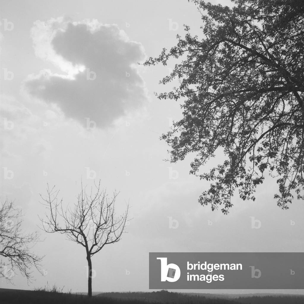 Scenic landscape around Heidelberg, Germany 1930s (b/w photo)