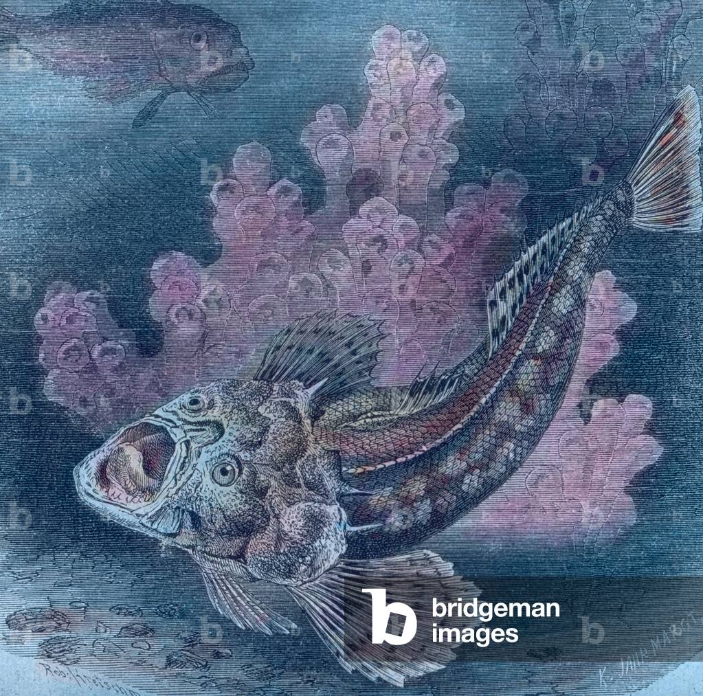 Illustration of a stargazer, 1920s