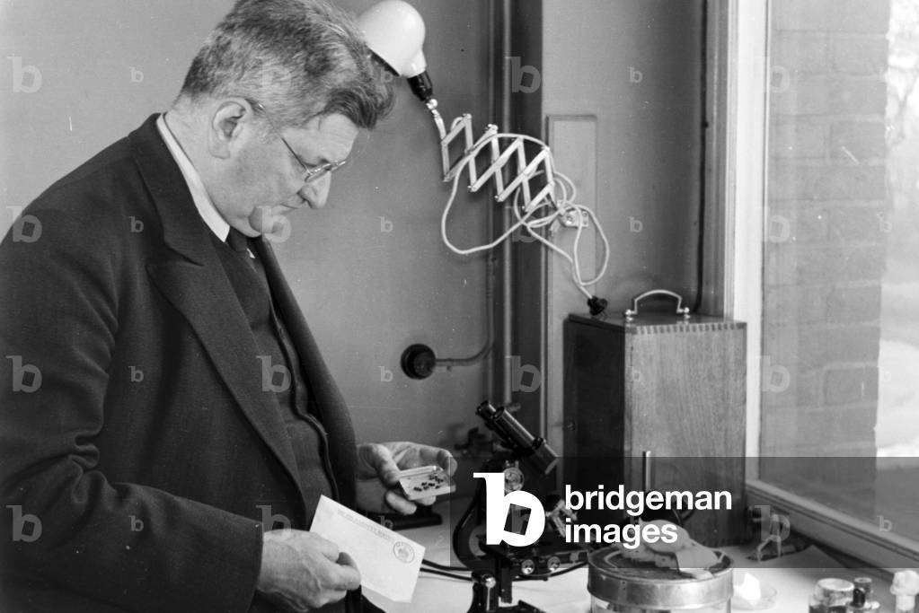 Professor Claus Schilling doing researches against the Tsetse fly at Rober Koch Insitute in Berlin, Germany 1930s (b/w photo)