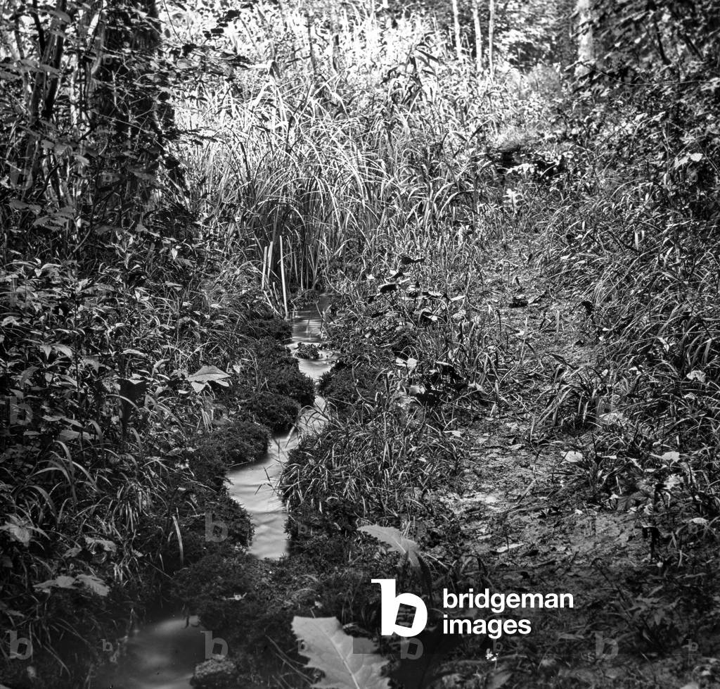 The Ruisseau gardens in Brussels