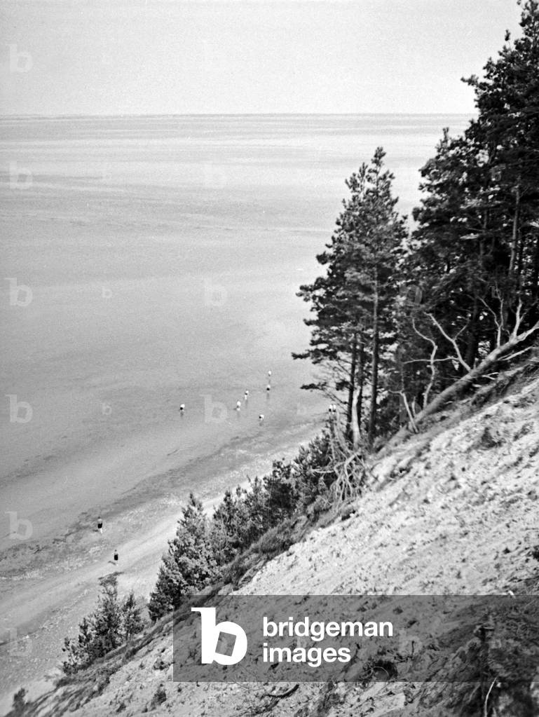 The coast near Korschenruh, at Vistula Lagoon, East Prussia 1930s (b/w photo)