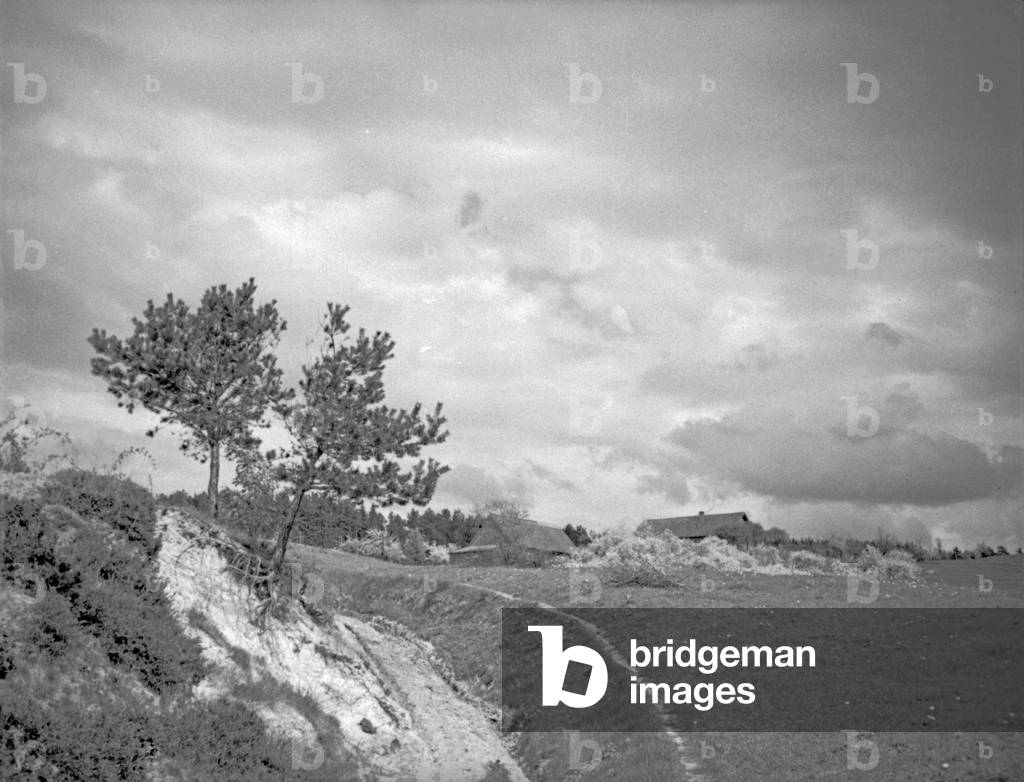 Elbing heights near Vistula Lagoon with view to the village Lenzen, East Prussia, 1930s (b/w photo)