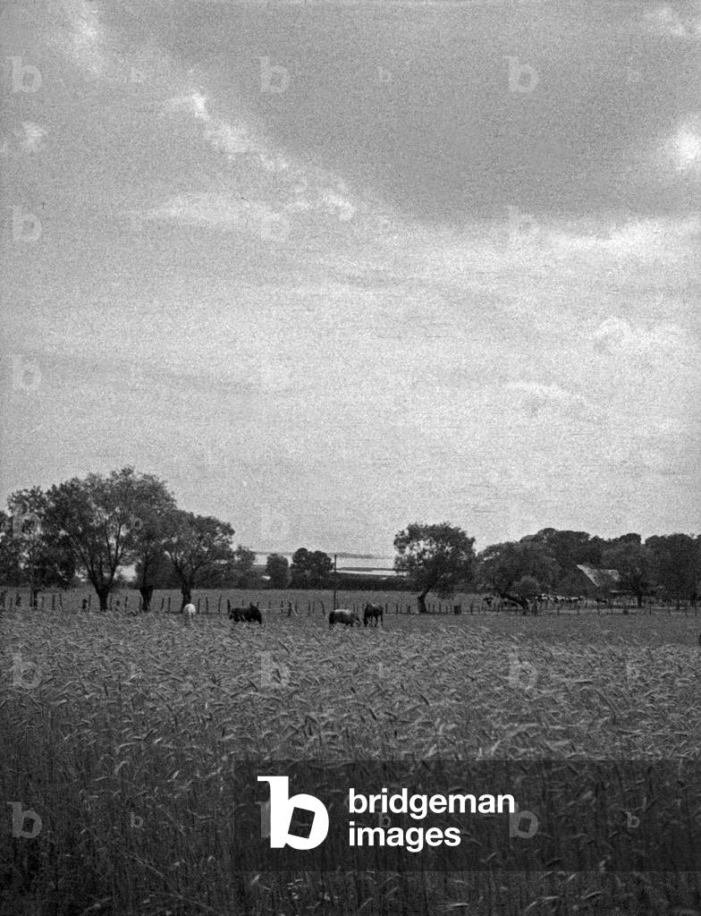 Near Spirdingsee lake in Masuria, East Prussia, 1930s (b/w photo)