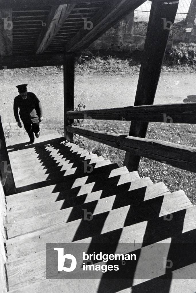 A trip into the Black Forest, Germany 1930s (b/w photo)