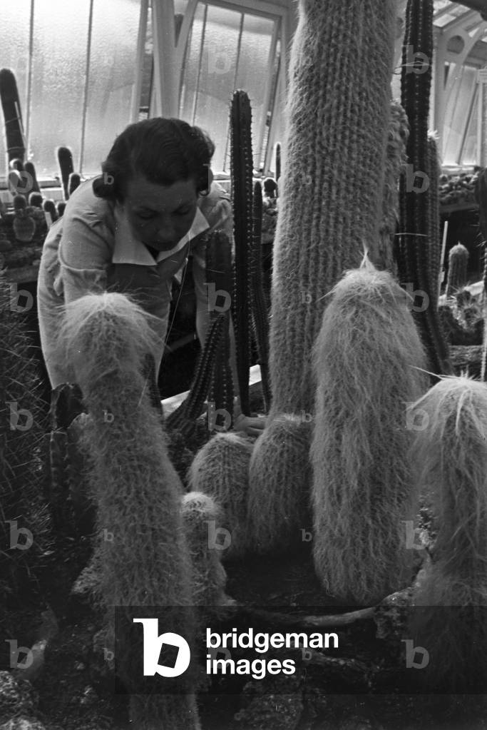 A trip to Stuttgart, Germany 1930s (b/w photo)