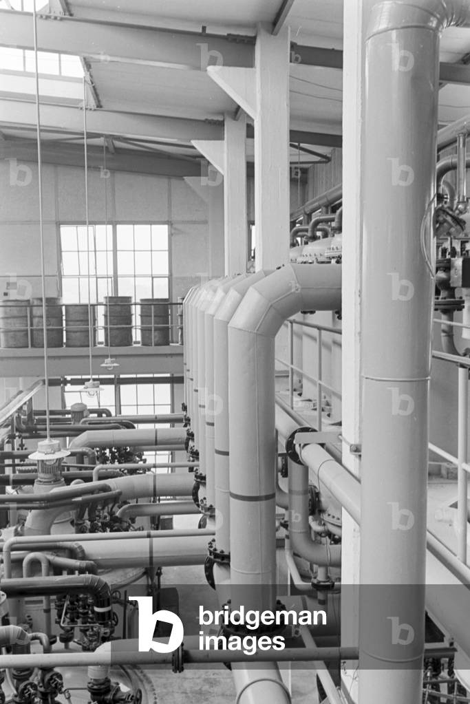 A guided tour through a factory of fatty acid in Witten, Germany 1930s (b/w photo)