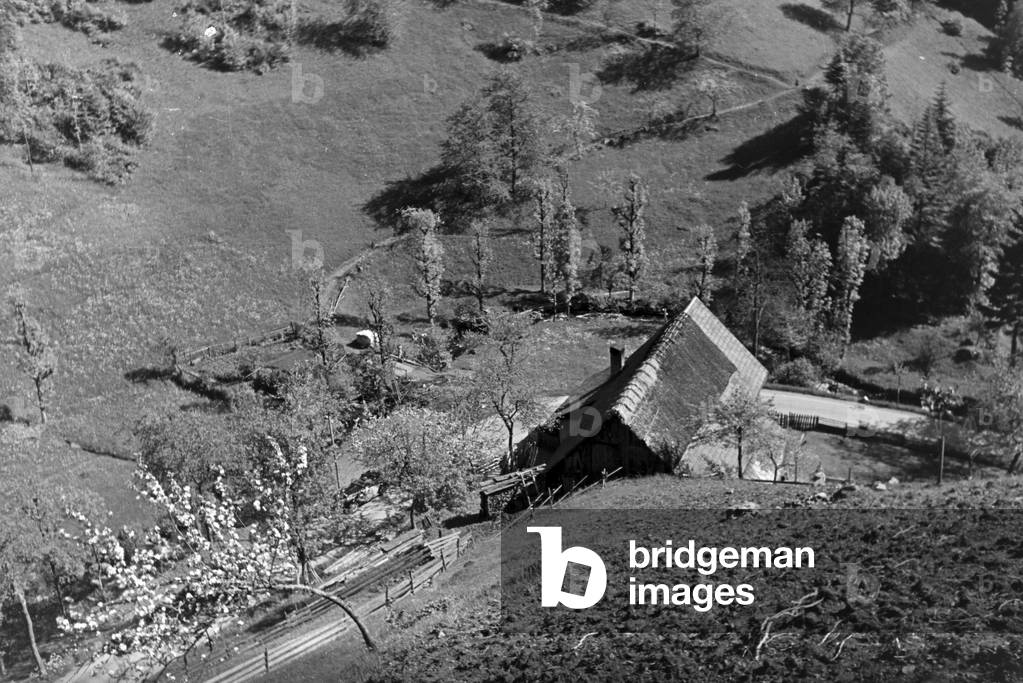 Idyllic panoramic view of the Black Forest, Germany 1930s (b/w photo)